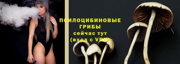 соль ск Володарск