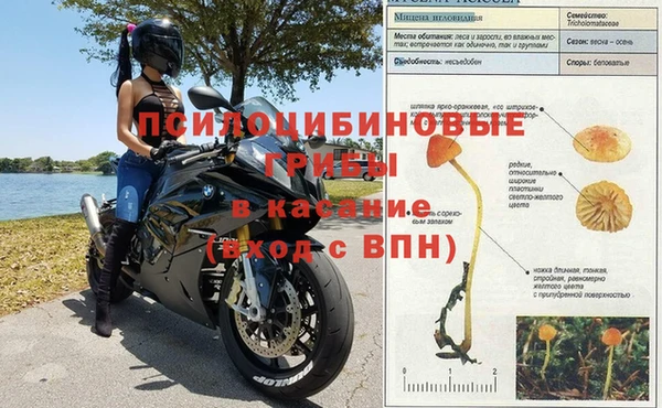 эйфоретик Горняк